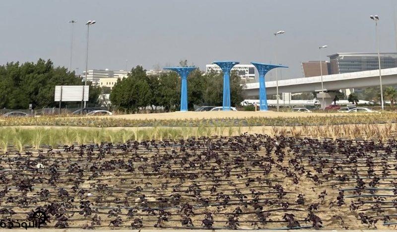 ���� ���� ��� �������