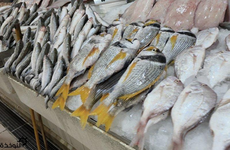 ���� ����� ���� ���� �����.. ������ ������� ������� �������� ������ɻ