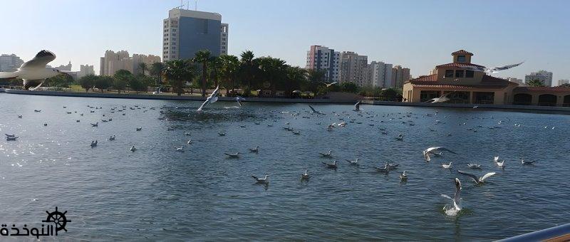 ��������