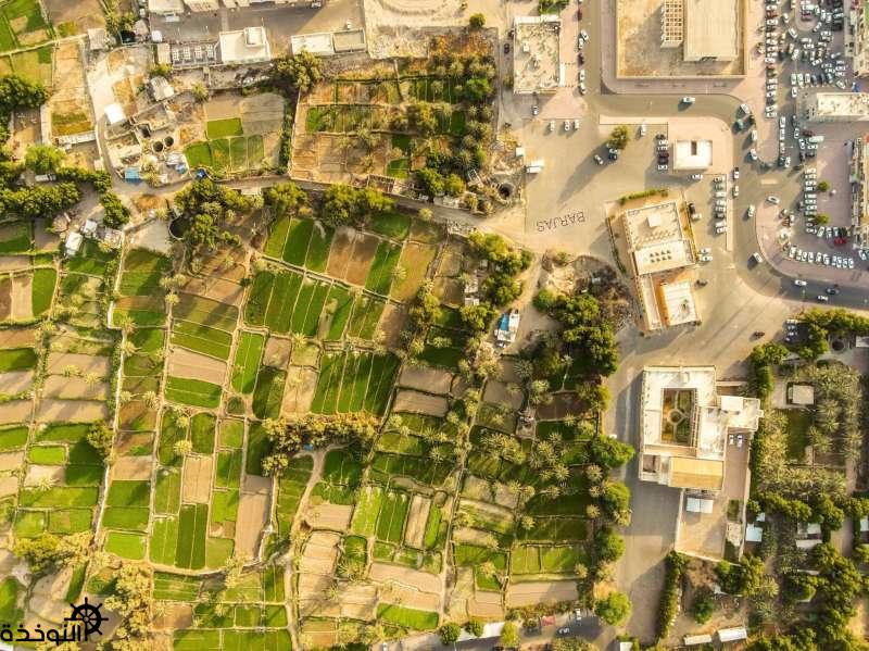 ����� ����� ���� ����� ������