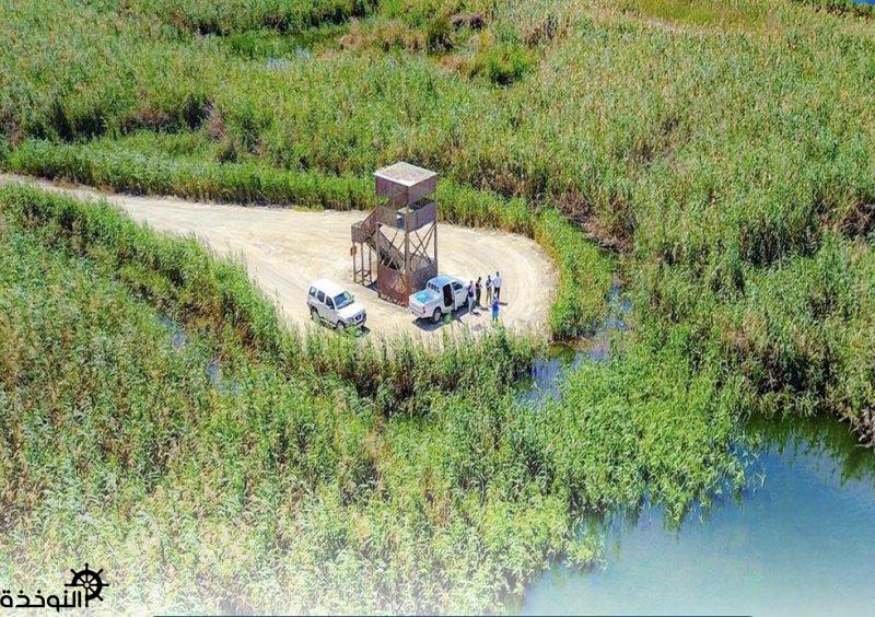 ���� ������ : ������ ����� ������� �������� ������ ������ �� ����� ������