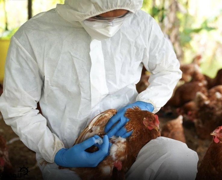 ������� ����� 400 ��� ���� ������� �������� ������