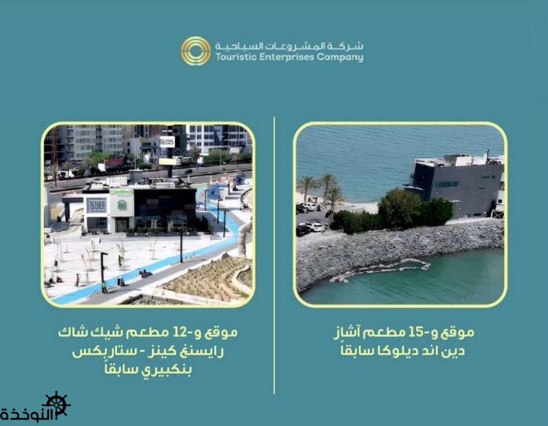 شركة المشروعات السياحية عن فتح باب التقديم لوثائق الطرح المزايدة استثمار عدد من المواقع السياحية