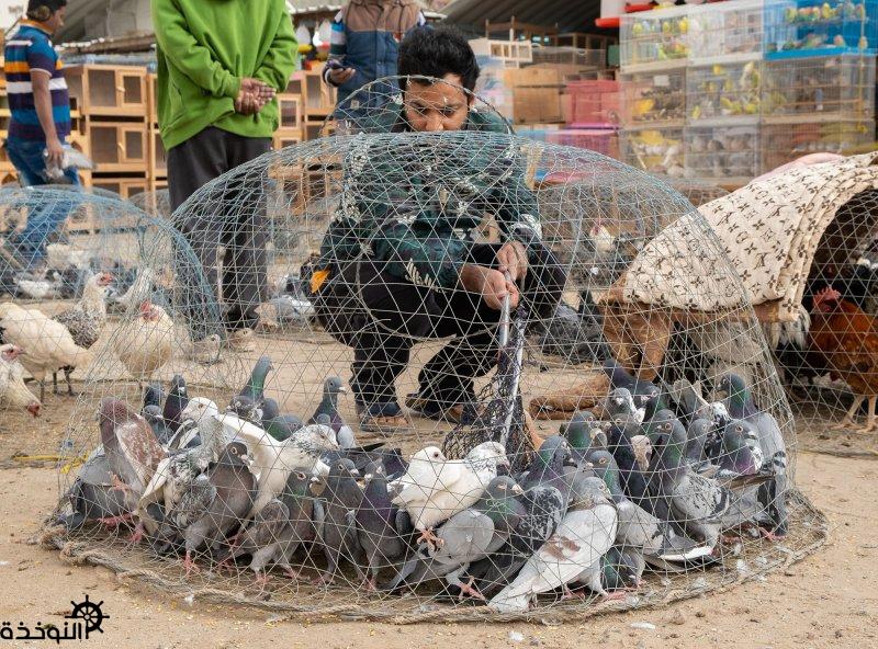 �������: ����� ��� ������ ����� ����� �������