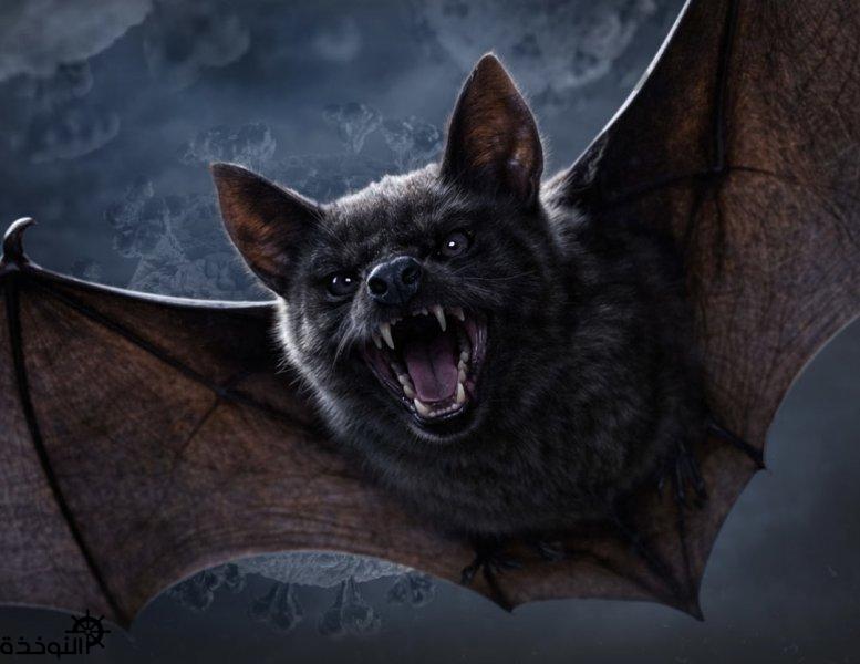 ���� �� ������.. ����� 