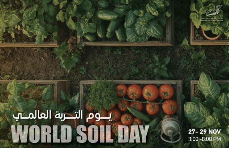 ����� ������ - ��� ������ �������