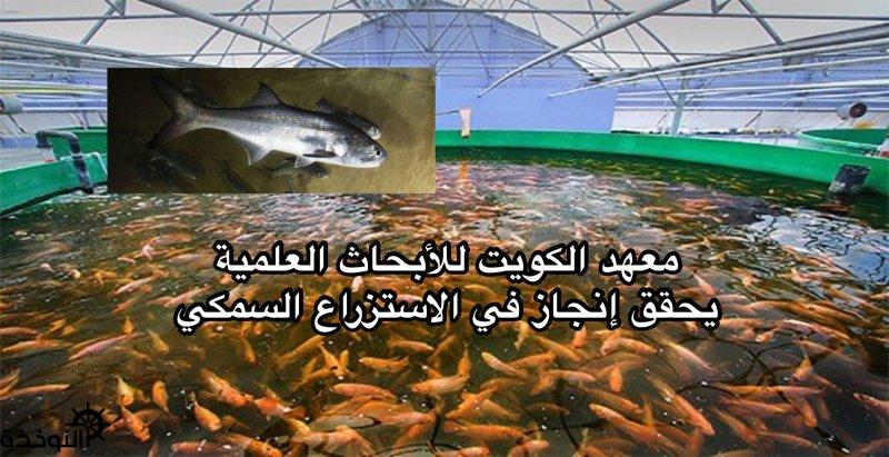 ������ �������: ���� ������ ������� ������� ���� ����� �� ��������� ������