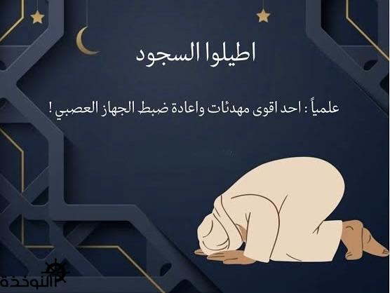 ������ ����� ����: ������ ���� ������ ������