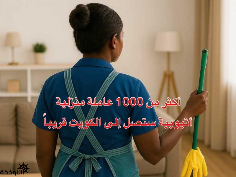     :   1000     