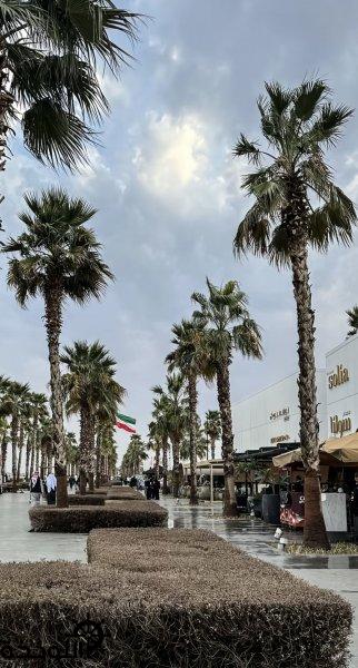 ���: ����� ������ ������