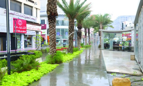 ����� ����