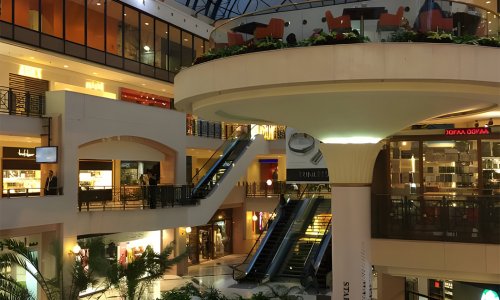 ���� ������