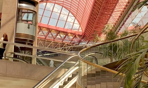 ���� ������