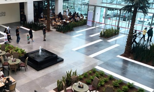 �� ���� ���