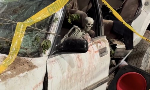 �������� ���� Festival Land