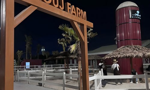 ����� ����