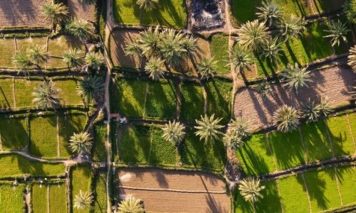 ���: ������ ������� �������