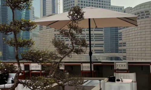 ���: ����� ������ ������