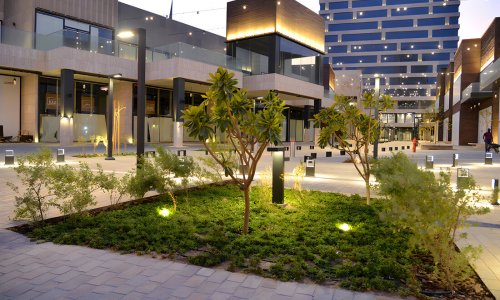 ���� �������