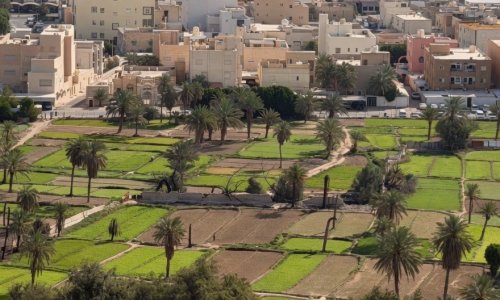 ���: ������ ������� �������