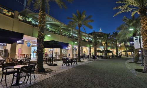 ������ ���