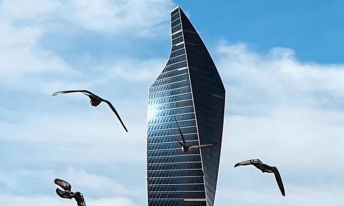 ���� ��������