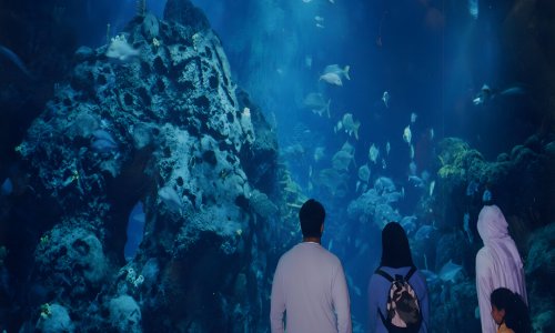 ������ ������