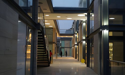 ���� ����