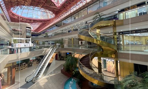 ���� ������