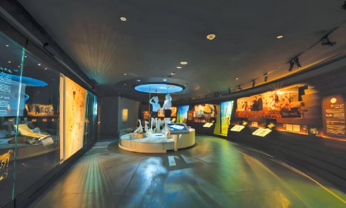 ���� ��� ������